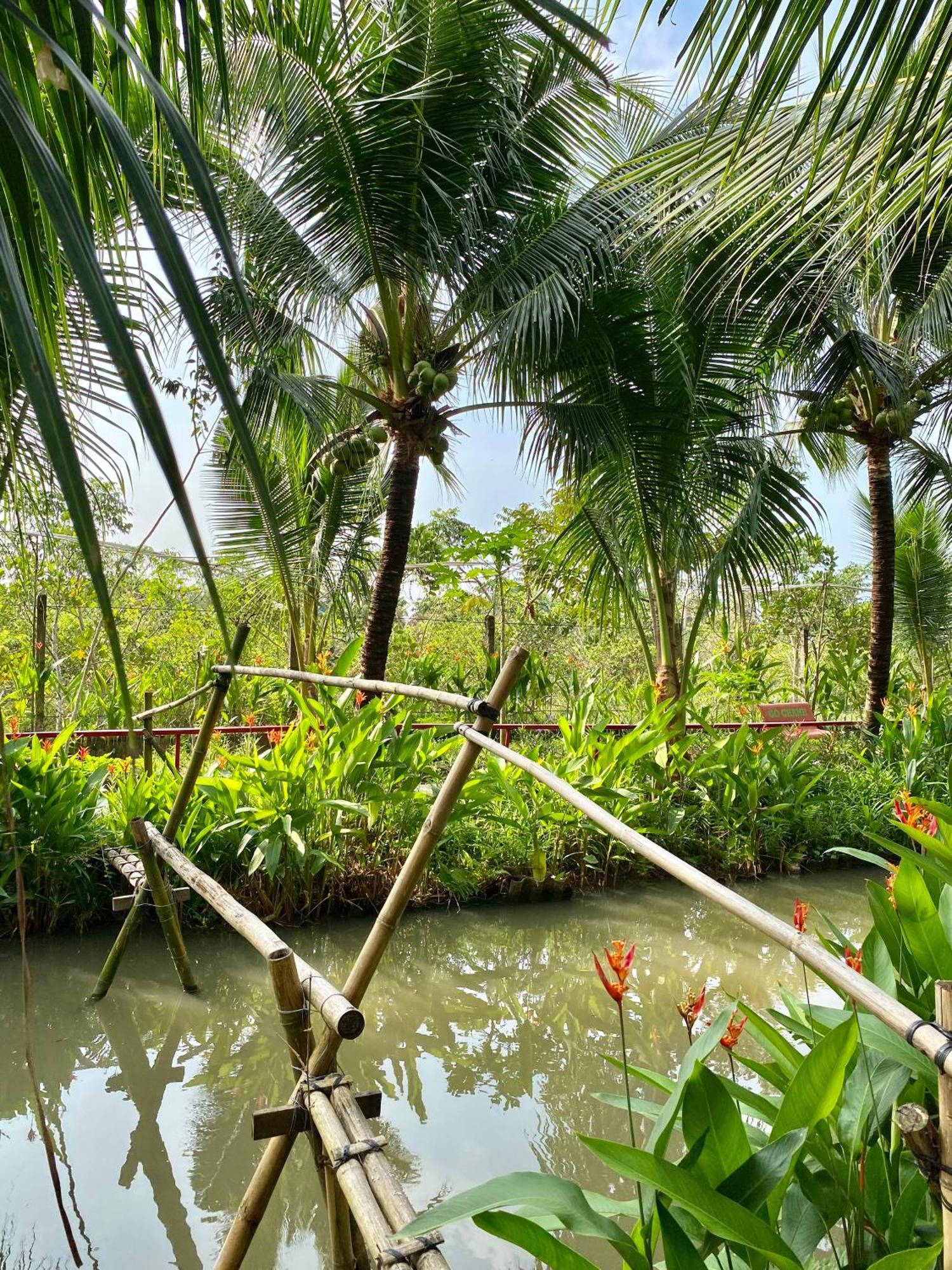 Go Chanh Homestay Cai Rang Exteriör bild